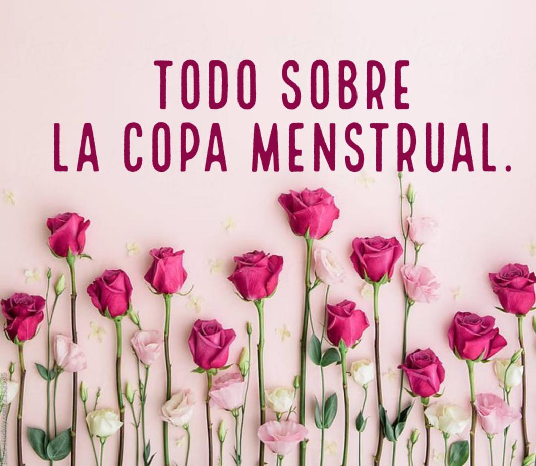 Todo sobre la copa menstrual - PACHAMAMA COLOMBIA