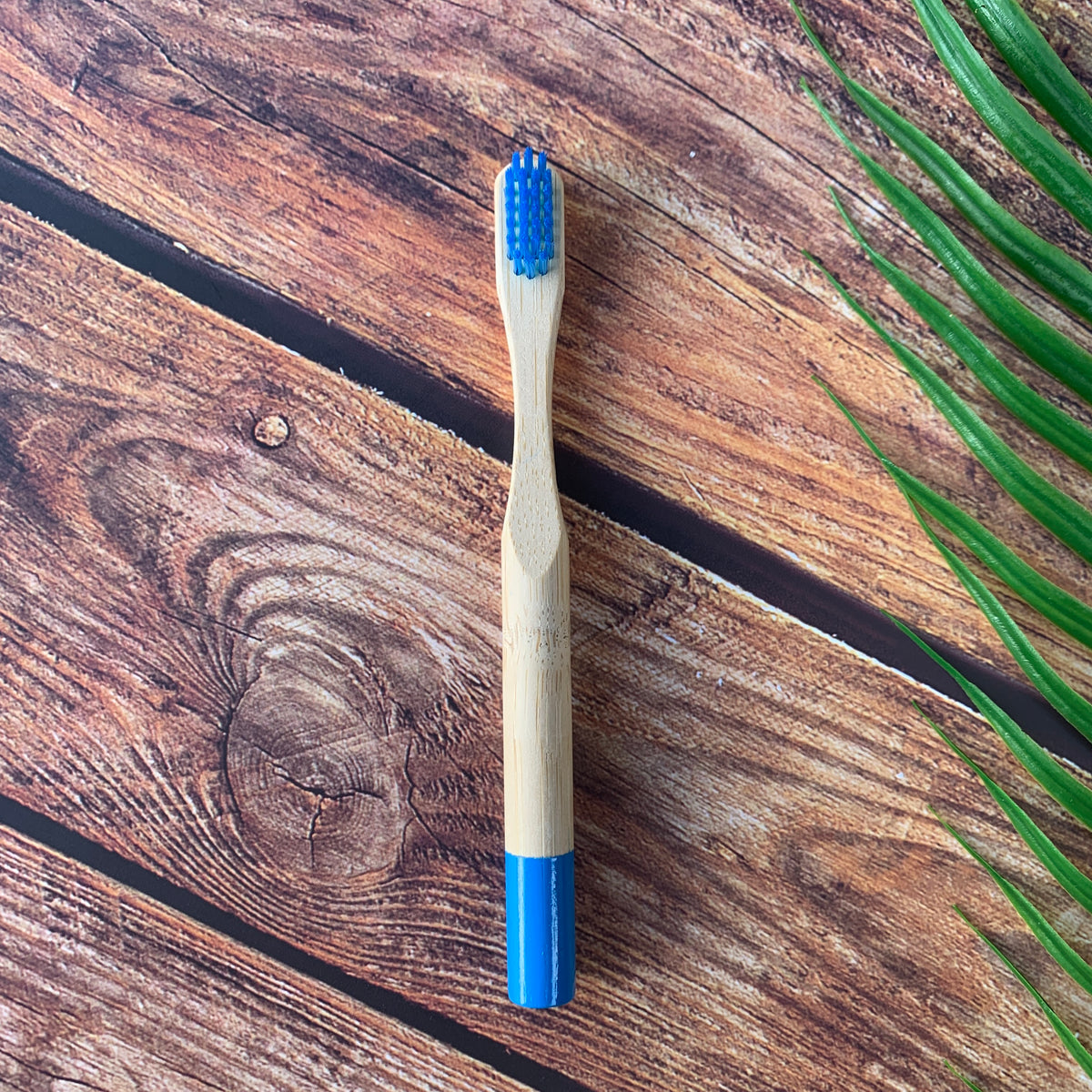 Cepillo Cerdas Duras De Bambú Combo X 12 Unidades
